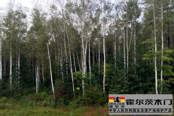 长白山 长白山