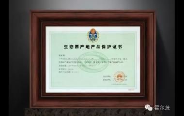 那些年，霍尔茨生态体系木门得过的大奖